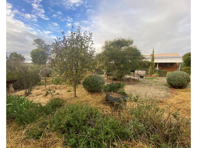 5093 Newell Highway, Peak Hill NSW 2869