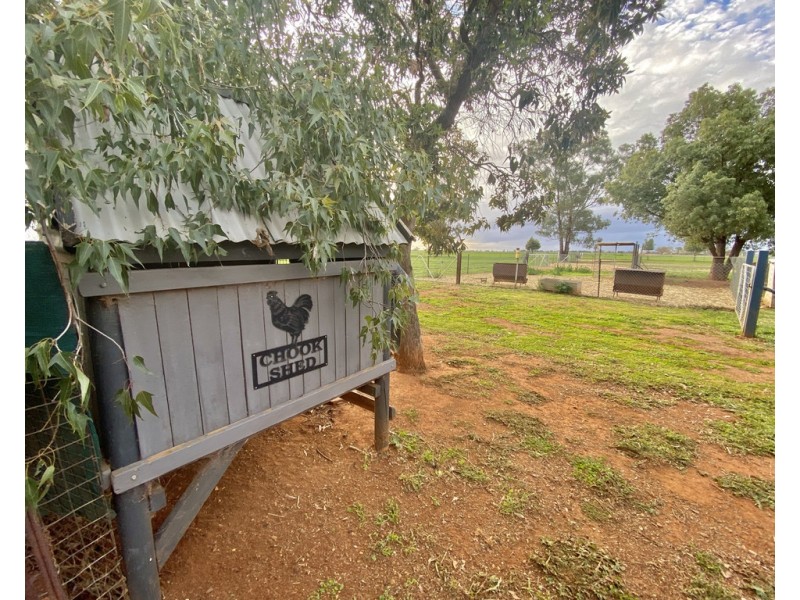 5093 Newell Highway, Peak Hill NSW 2869