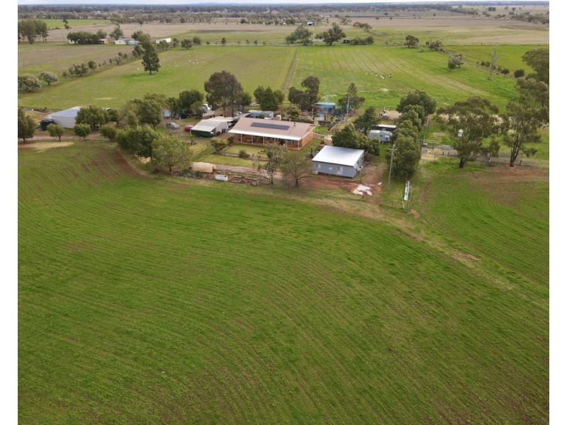 5093 Newell Highway, Peak Hill NSW 2869