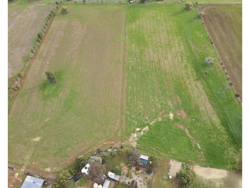 5093 Newell Highway, Peak Hill NSW 2869