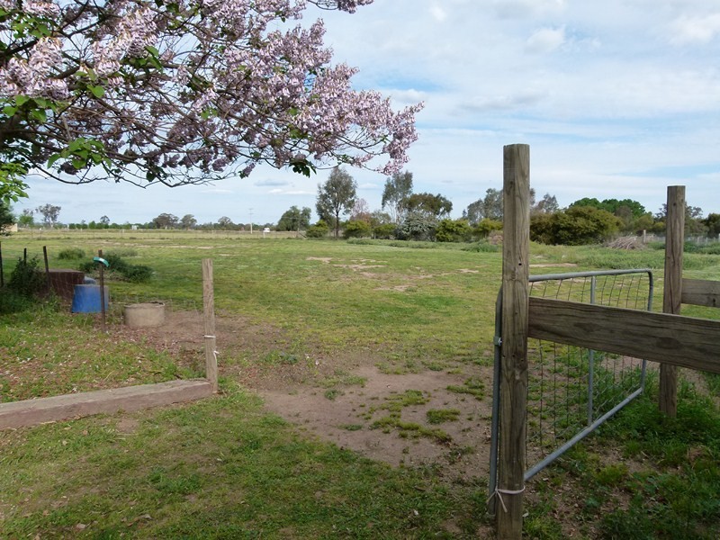 11539 Escort Way, Forbes NSW 2871