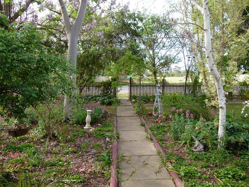 11539 Escort Way, Forbes NSW 2871