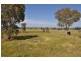 Lot 1 and 2 West Street, Eugowra NSW 2806