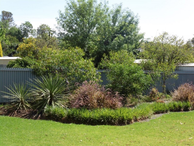 35 Lorking Street, Parkes NSW 2870