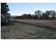 Lot 162 North Street, Eugowra NSW 2806