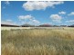 43 Best Street, Parkes NSW 2870