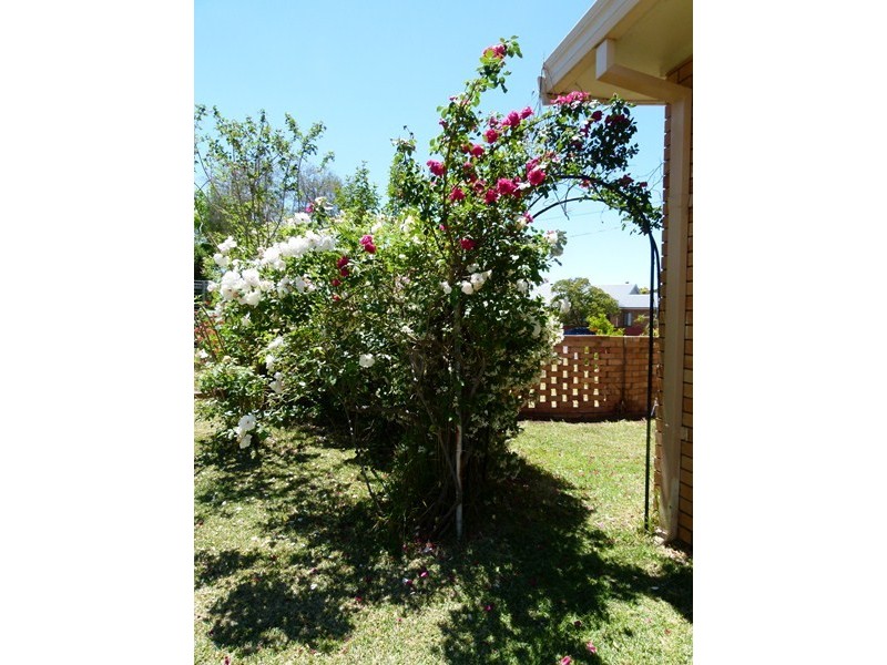 24 Bathurst Street, Forbes NSW 2871