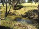 Lot 52 Nash Street, Parkes NSW 2870