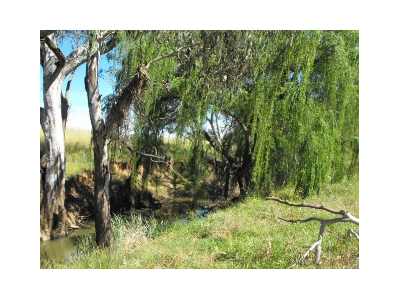 Lot 52 Nash Street, Parkes NSW 2870