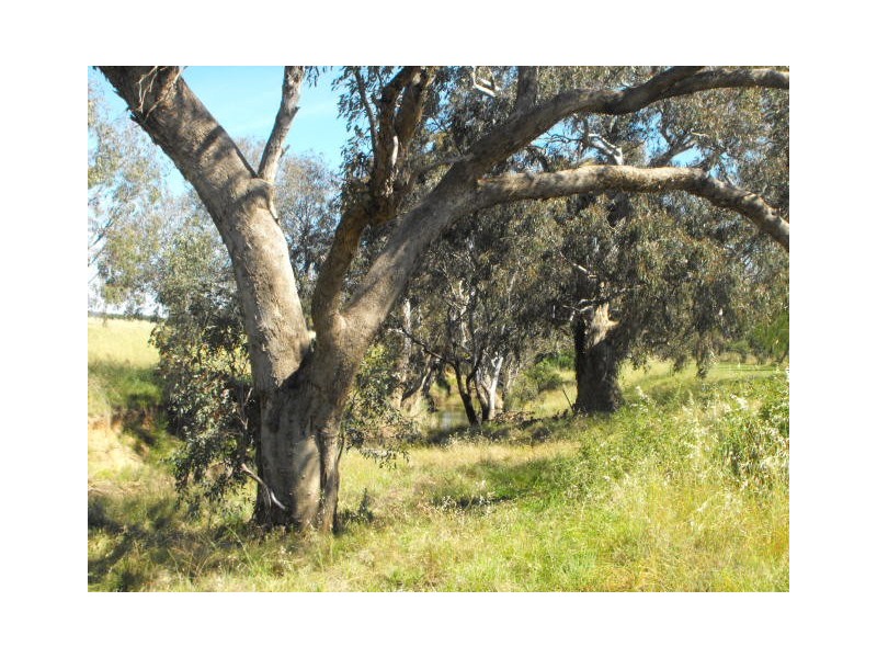 Lot 52 Nash Street, Parkes NSW 2870