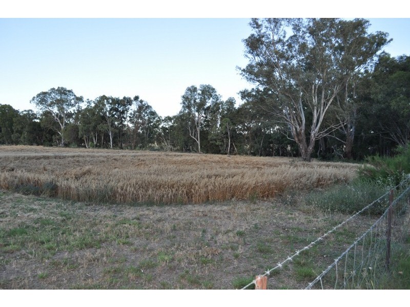 Lot 162 North Street, Eugowra NSW 2806