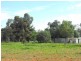 Lot 109 – 118 Mentone Street, Trundle NSW 2875