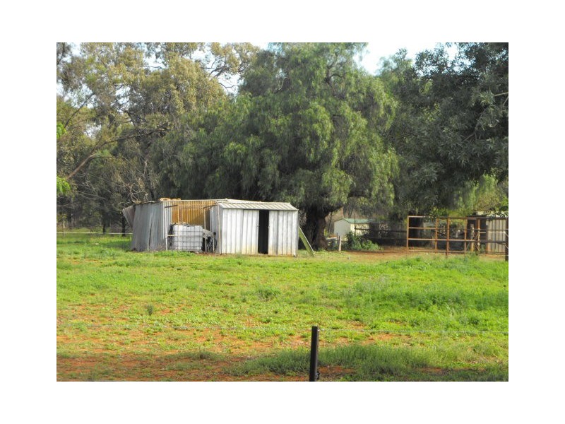 Lot 109 – 118 Mentone Street, Trundle NSW 2875