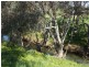 Lot 2 Wangara Lane, Parkes NSW 2870