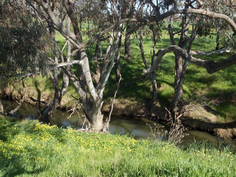 Lot 2 Wangara Lane, Parkes NSW 2870