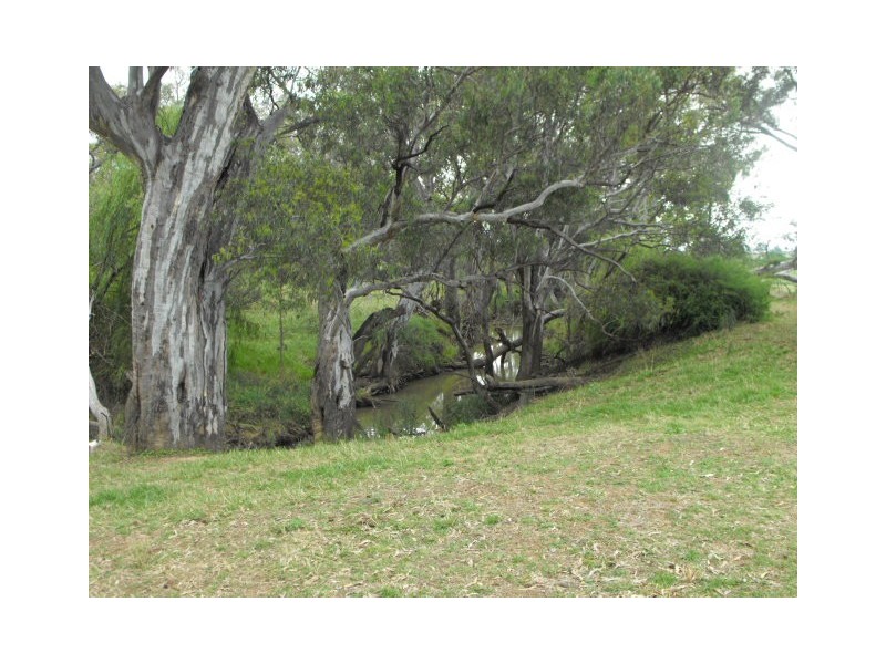 Springvale Kinsela Lane, Parkes NSW 2870