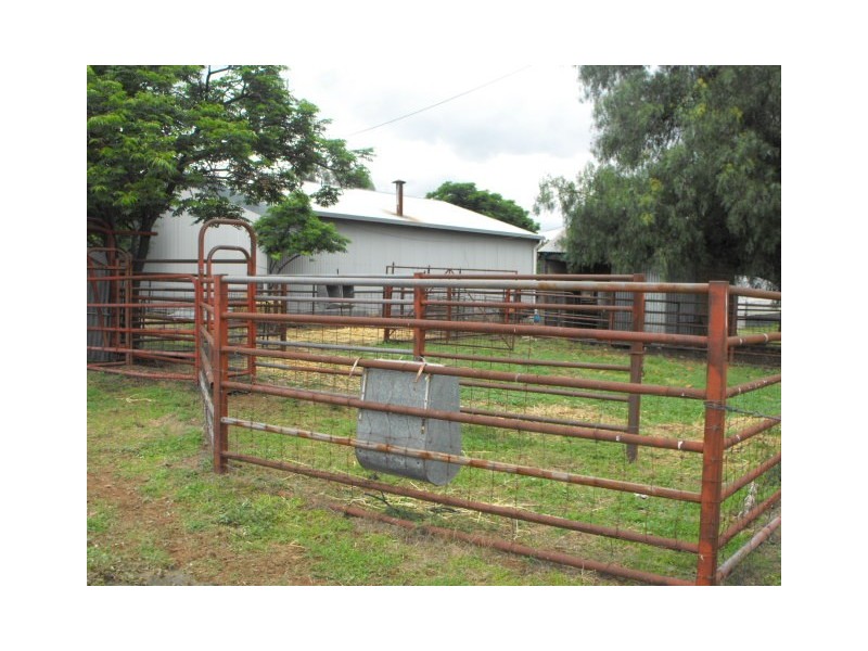 Springvale Kinsela Lane, Parkes NSW 2870