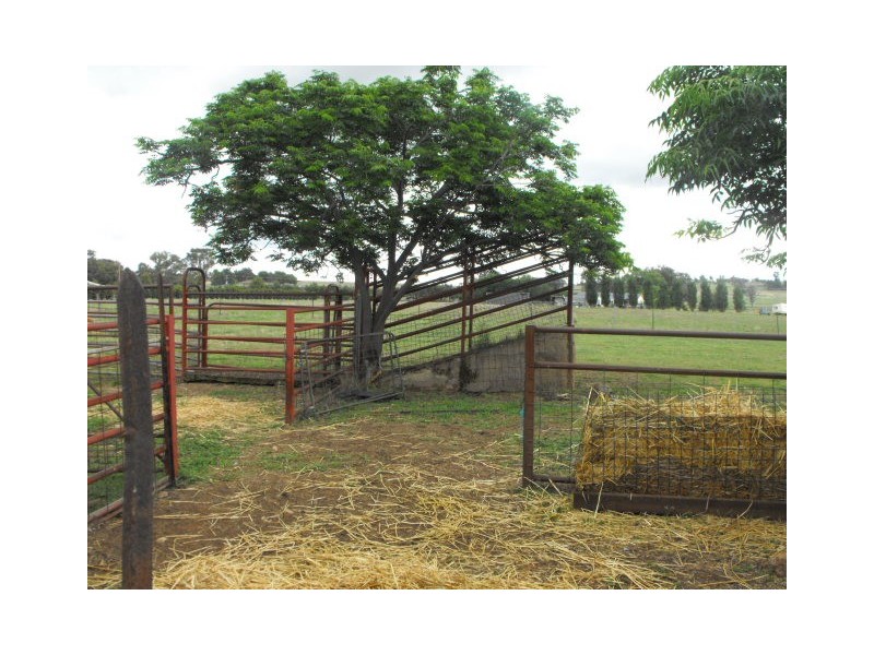 Springvale Kinsela Lane, Parkes NSW 2870