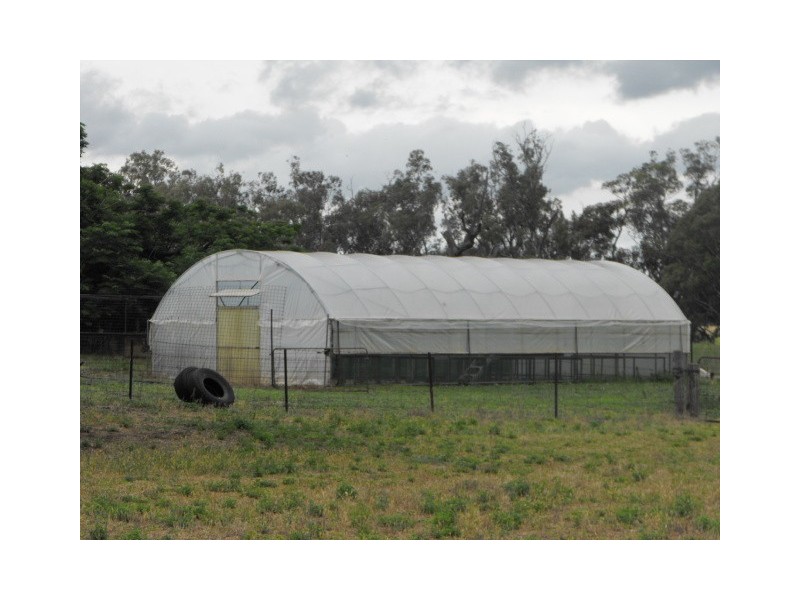 Springvale Kinsela Lane, Parkes NSW 2870