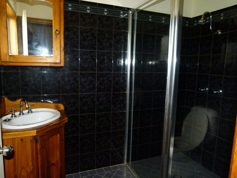 113 Bathurst Street, Forbes NSW 2871