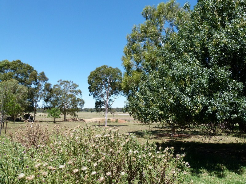 8 Brahman Street, Forbes NSW 2871