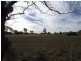 Lot  23 Bleechmore Road, Parkes NSW 2870