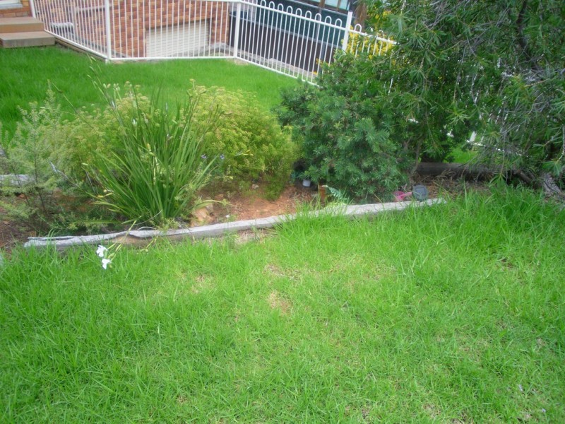15 William Street, Parkes NSW 2870