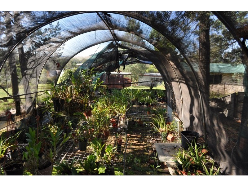 20 West street, Eugowra NSW 2806