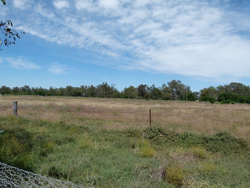 Cnr Newell Highway and River Rd, Forbes NSW 2871
