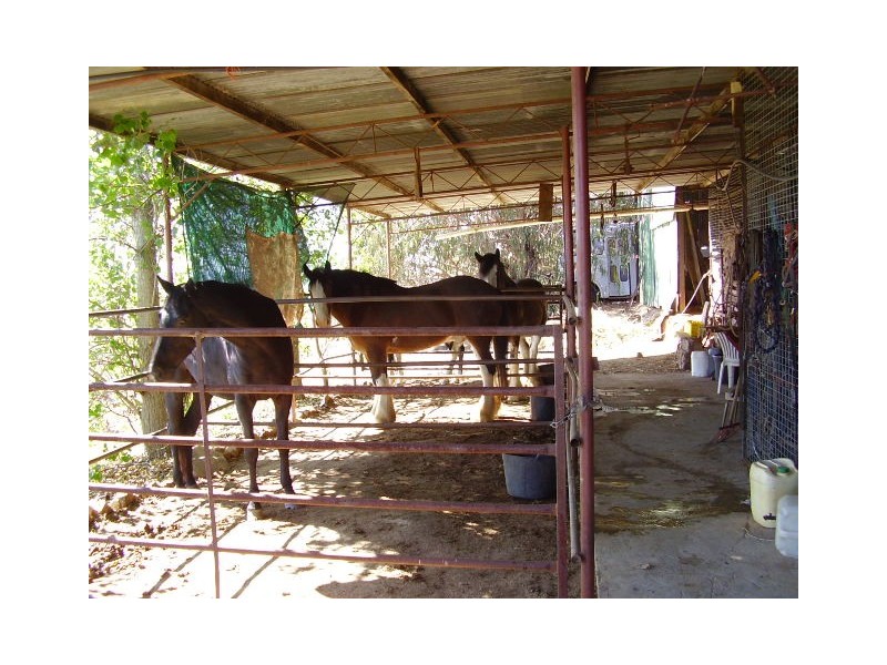 ‘Sunnyside’  2836 Scenic road, Wirrimah NSW 2803