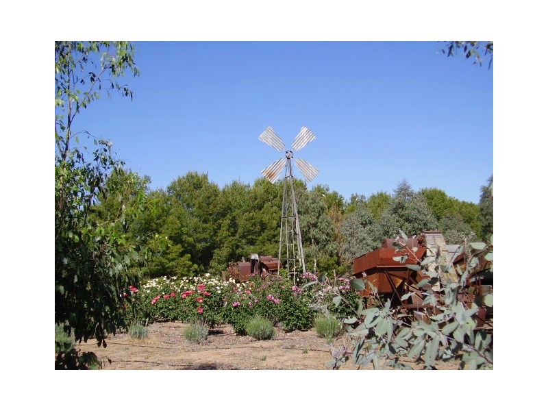 ‘Sunnyside’  2836 Scenic road, Wirrimah NSW 2803