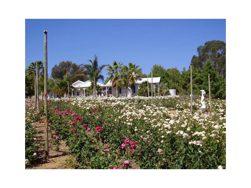 ‘Sunnyside’  2836 Scenic road, Wirrimah NSW 2803