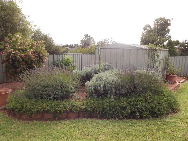 16 Georgefield Drive, Parkes NSW 2870