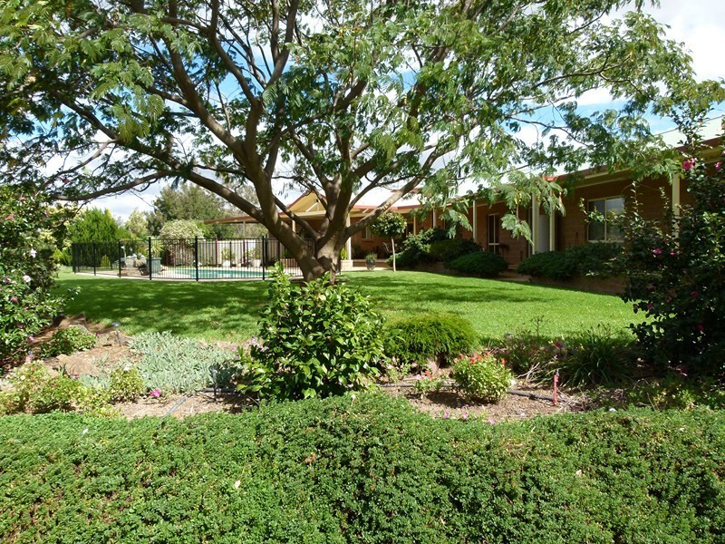 149 “Pineview” New Grenfell Rd, Forbes NSW 2871