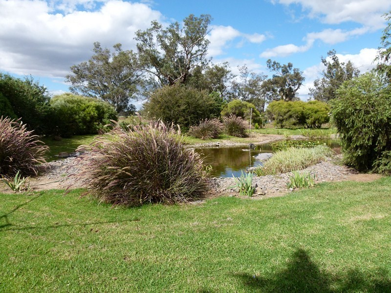 149 “Pineview” New Grenfell Rd, Forbes NSW 2871