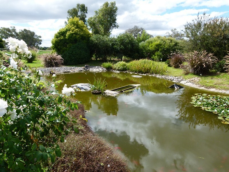 149 “Pineview” New Grenfell Rd, Forbes NSW 2871