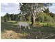 Lot 162 Nanima Street, Eugowra NSW 2806