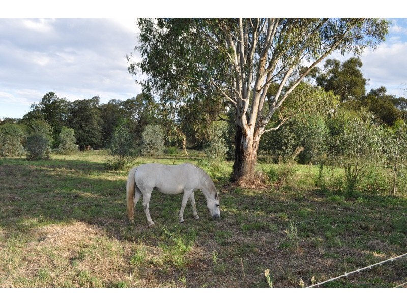 Lot 162 Nanima Street, Eugowra NSW 2806