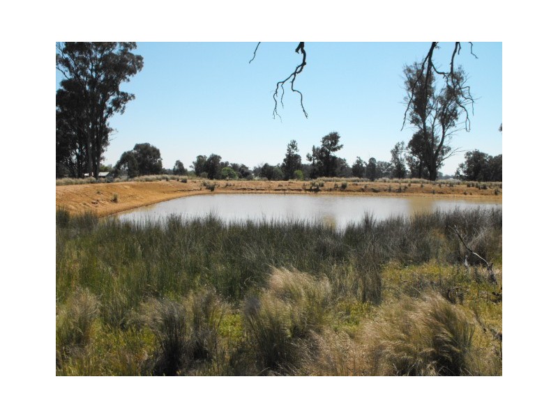 Bills Hills 342 Ellis Road, Forbes NSW 2871