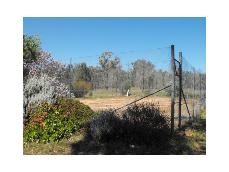 Bills Hills 342 Ellis Road, Forbes NSW 2871