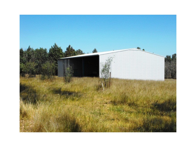 Bills Hills 342 Ellis Road, Forbes NSW 2871