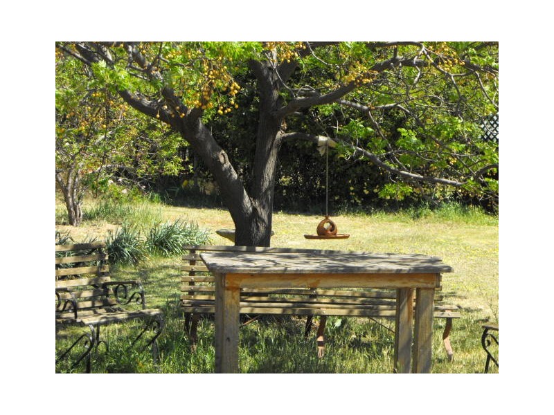 Bills Hills 342 Ellis Road, Forbes NSW 2871