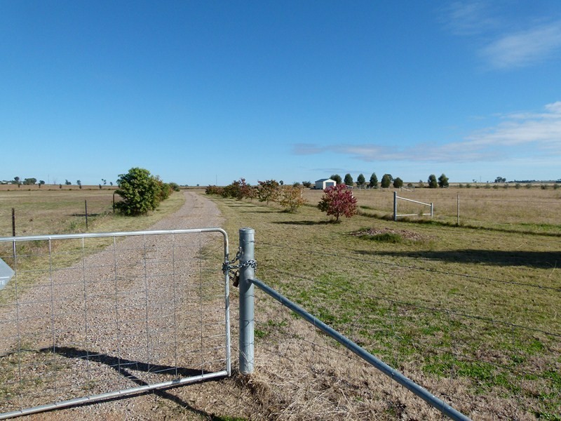 LOT 2 Calarie Rd., Forbes NSW 2871