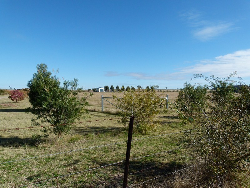 LOT 2 Calarie Rd., Forbes NSW 2871