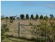 LOT 2 Calarie Rd., Forbes NSW 2871