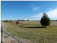LOT 2 Calarie Rd., Forbes NSW 2871