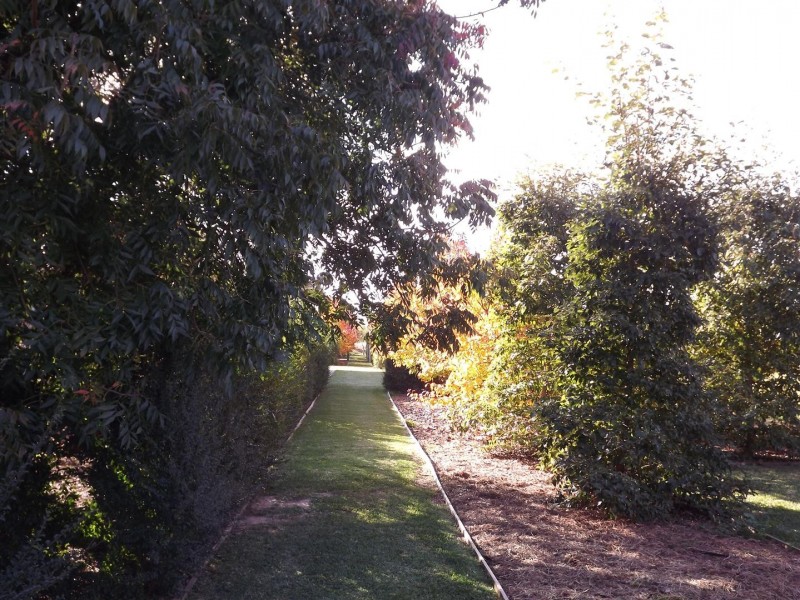 657 Wandary Lane, Forbes NSW 2871