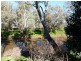 289 Bathurst Street, Forbes NSW 2871