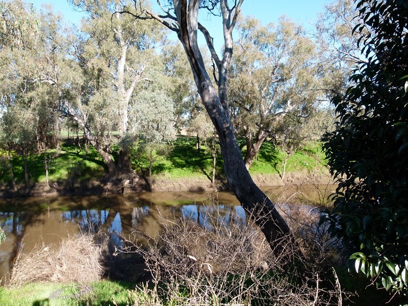 289 Bathurst Street, Forbes NSW 2871