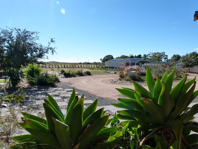 Forbes NSW 2871